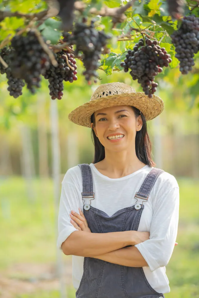 winemaker